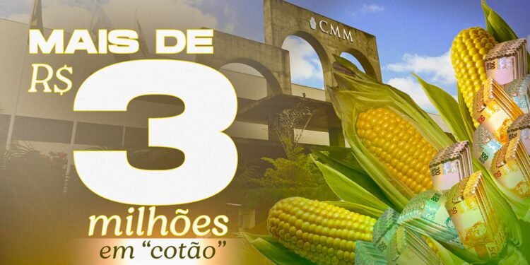 Segundo a legislação, o 'cotão' se destina a cobrir gastos relacionados à atividade parlamentar, como combustíveis - (Arte: João Dejacy/ Rios de Notícias)