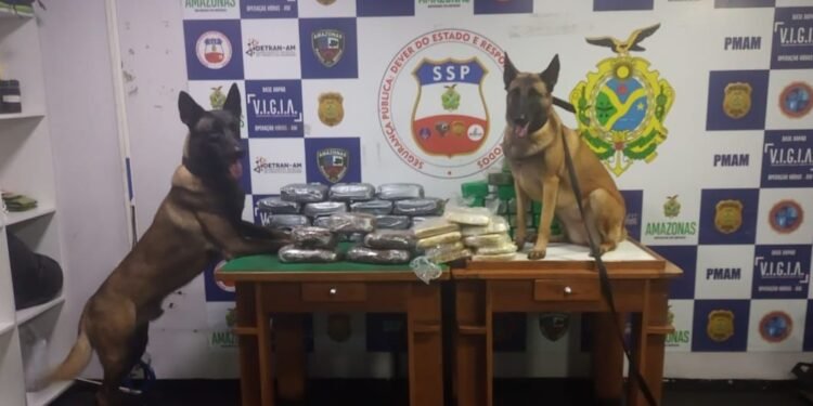 As Forças de Segurança do Amazonas causaram mais de R$ 3,8 milhões de danos ao crime - (Foto: Divulgação/ SSP-AM)