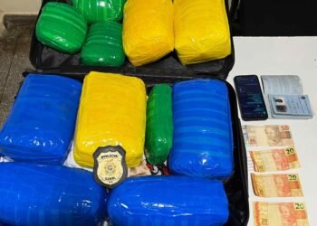 Tabletes de drogas apreendidos - (Foto: Divulgação/PC-AM)