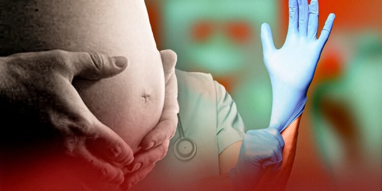 Os dados foram coletados em visitas às ouvidorias das maternidades em Manaus, que registraram 324 casos - (Arte: Abraão Torres/ Rios de Notícias)