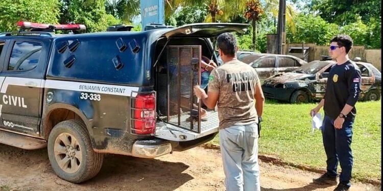 Paulo da Silva Salvador foi detido pela polícia - (Foto: Divulgação/PC-AM)