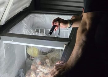 Produto apreendido - (Foto: Erlon Rodrigues e Divulgação/PC-AM)