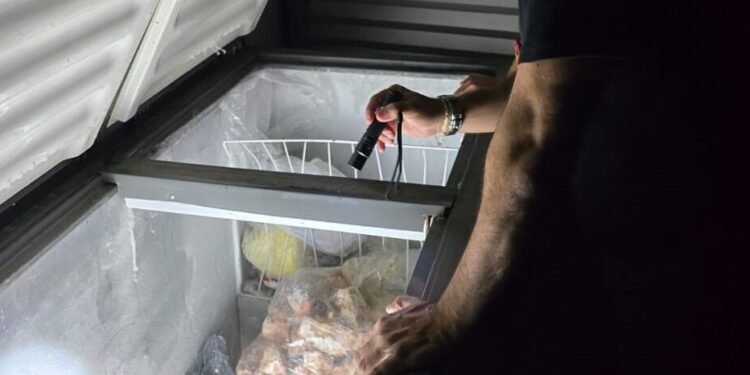 Produto apreendido - (Foto: Erlon Rodrigues e Divulgação/PC-AM)