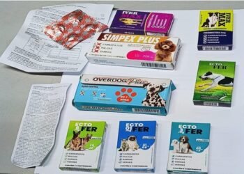 Material apreendido - (Foto: Divulgação/PC-AM)