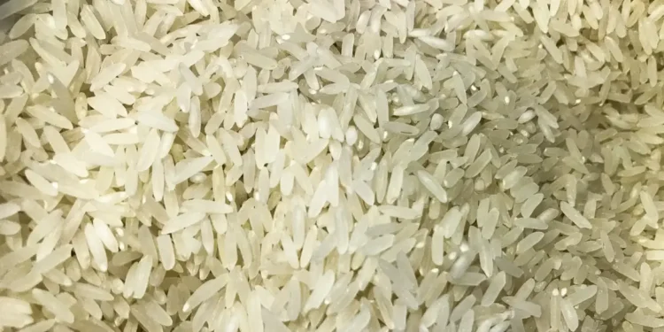 Produção de arroz no Brasil - (Foto: Divulgação)