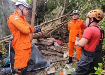 Árvore tomba sobre casa e morador morre em Manaus