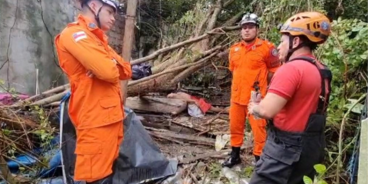 Árvore tomba sobre casa e morador morre em Manaus