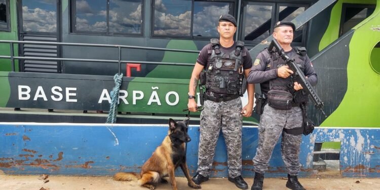 Policiais militares salvam vítimas de afogamento, em Barcelos