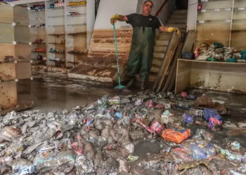 Cenário de risco para a leptospirose - (Raffa Neddmeyer)