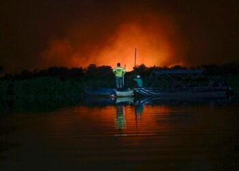 O Pantanal já vive uma estiagem severa - (Foto: Joédson Alves)