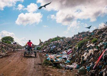 Lixeira pública em Parintins - (Foto: João Dejacy/ Rios de Notícias)