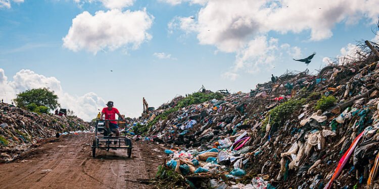 Lixeira pública em Parintins - (Foto: João Dejacy/ Rios de Notícias)