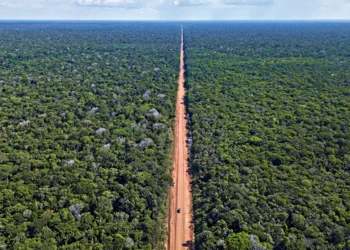 A estrada na mata: aberta durante a ditadura militar, ela foi abandonada e tomada por atoleiros e buracos - (Foto: Lalo de Almeida/Folhapress)