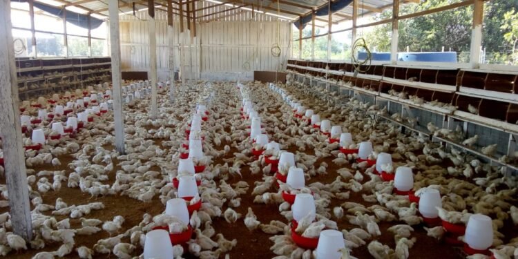 O descumprimento do procedimento pode acarretar o bloqueio da ficha de movimentação - (Foto: Divulgação/Adaf)