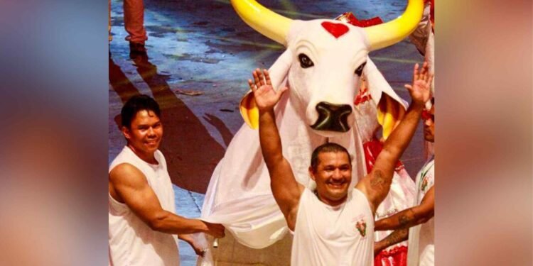 Batista Silva, a esquerda, e Denildo Piçanã, a direita, tripas oficiais do Boi Garantido (Divulgação)