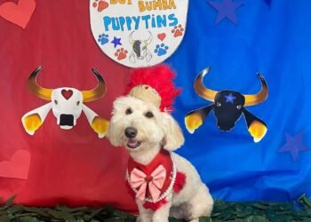 Mais uma oportunidade para que os “doguinhos” de Manaus possam se divertir. A 2ª Edição do “Festivau do Boi-Bumbá do Puppytins” ocorre no dia 22 de junho, na creche e hotel para pet’s “Puppylo”, localizada na rua Carvalho Paes de Andrade, 156, bairro São Francisco, zona Sul de Manaus.