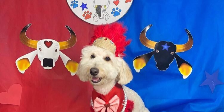Mais uma oportunidade para que os “doguinhos” de Manaus possam se divertir. A 2ª Edição do “Festivau do Boi-Bumbá do Puppytins” ocorre no dia 22 de junho, na creche e hotel para pet’s “Puppylo”, localizada na rua Carvalho Paes de Andrade, 156, bairro São Francisco, zona Sul de Manaus.