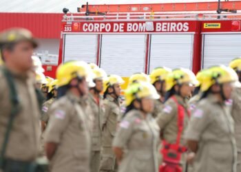 Novas equipes de bombeiros vão atuar no combate à estiagem no sul do Amazonas