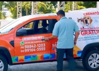 Serviço de crematório pet por R$ 15,5 milhões atende menos de 3% da população animal de Manaus