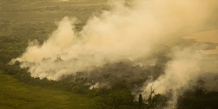 Incendios-Mato-Grosso-do-Sul