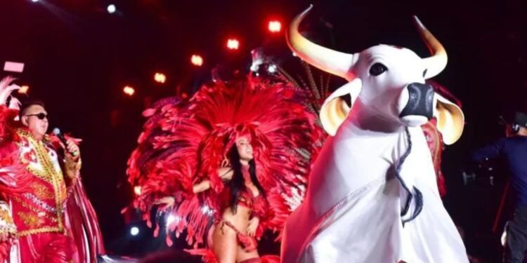 Isabelle-Cunha-do-Garantido-2