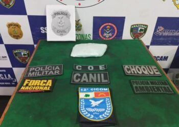 A droga foi avaliada em cerca de R$ 10 mil - (Foto: Divulgação/SSP-AM)