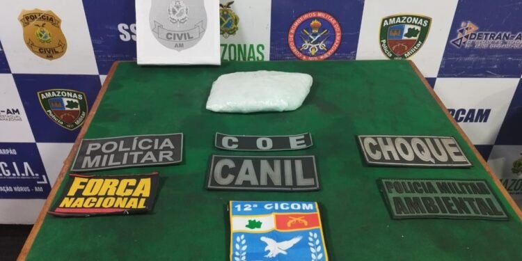 A droga foi avaliada em cerca de R$ 10 mil - (Foto: Divulgação/SSP-AM)