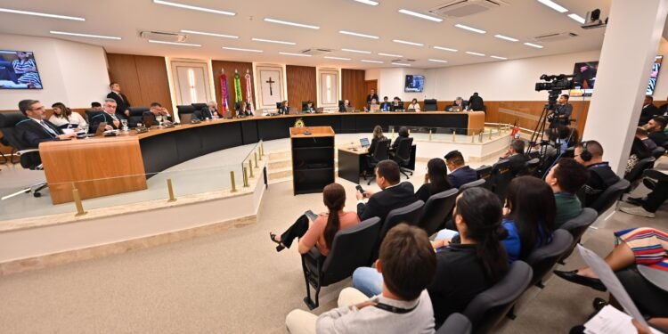 19ª Sessão Ordinária do Tribunal Pleno - (Foto: Joel Arthus)