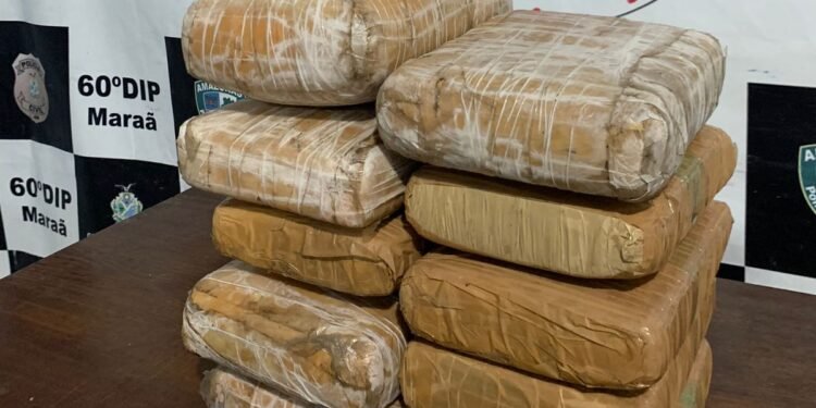 Material apreendido - (Foto: Divulgação/PC-AM)