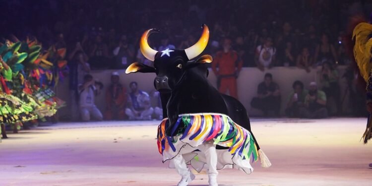 Boi Caprichoso - (Foto: Divulgação)