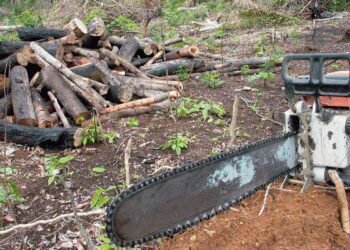 amazonia-desmatamento