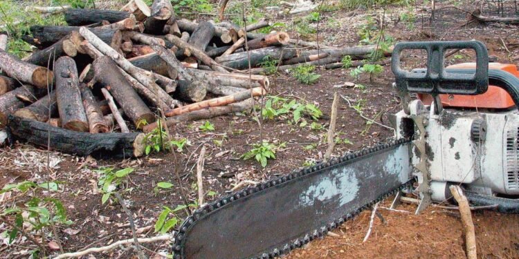 amazonia-desmatamento