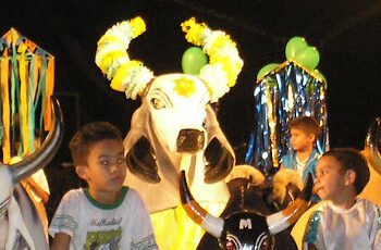 Durante as décadas de 1970 e 1980, o Campineiro fez parte da tradicional competição e chegou a alcançar a vice-colocação em 1978 e 1982 (Foto: Reprodução)