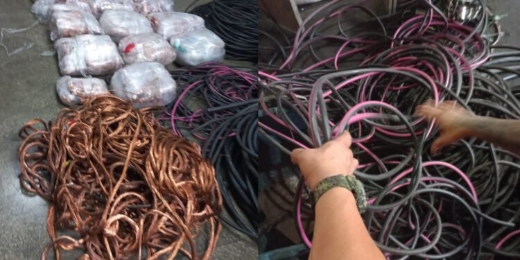 Material apreendido - (Fotos: Divulgação/PC-AM)