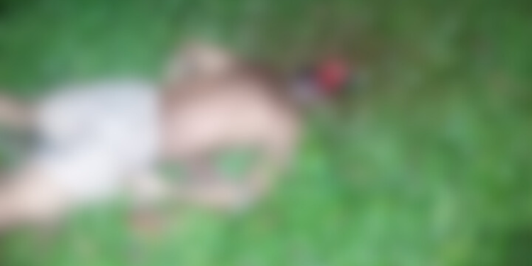 caseiro é morto a pauladas