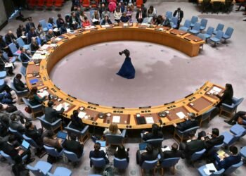 conselho-de-segurança