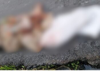 Corpo esquartejado é encontrado na zona Norte