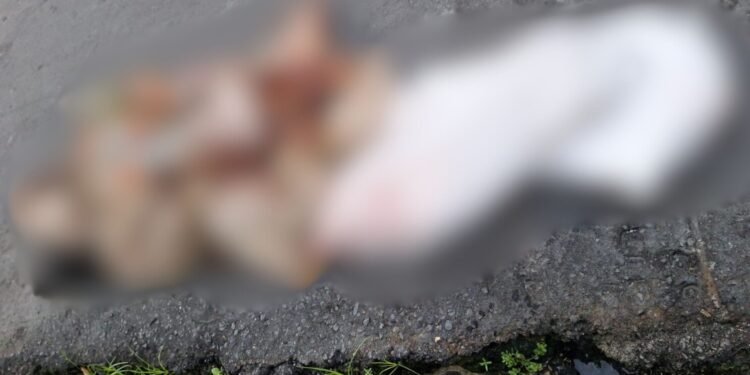 Corpo esquartejado é encontrado na zona Norte