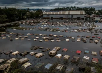Efeitos do desastre ambiental - (Rafa Neddmeyer)