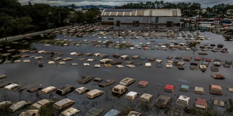 Efeitos do desastre ambiental - (Rafa Neddmeyer)