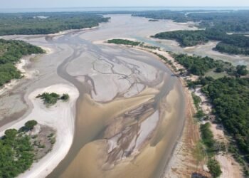 Mais de 600 mil pessoas sofrem impactos da seca no Amazonas