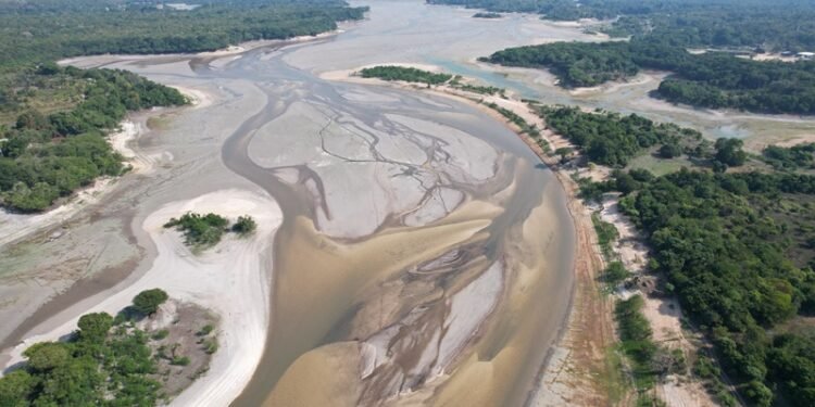 Mais de 600 mil pessoas sofrem impactos da seca no Amazonas