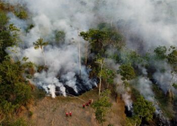 Falta estrutura para conter eventos climáticos extremos e incêndios na Amazônia