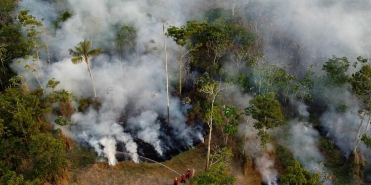 Falta estrutura para conter eventos climáticos extremos e incêndios na Amazônia