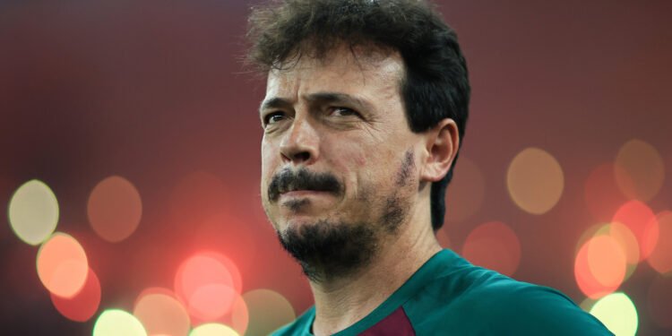 fernando-diniz