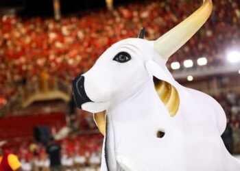 garantido-ensaio-bumbodromo