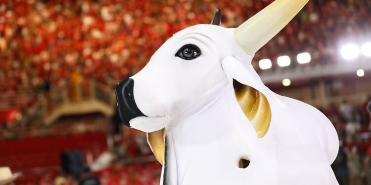 garantido-ensaio-bumbodromo