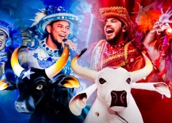 itens-caprichoso-garantido