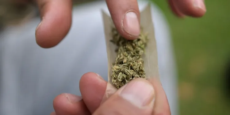 Uso de maconha - (Foto: Reprodução)