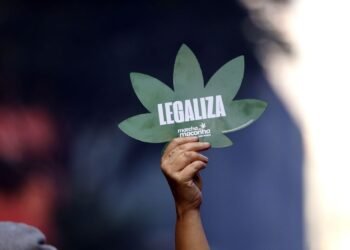 Maconha para uso pessoal está legalizada no Brasil - (Foto: Reprodução)